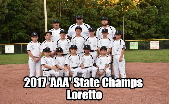 2017 TN DYB State Tournament 10U-AAA Champion