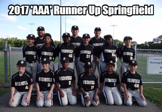 2017 TN DYB State Tournament 10U-AAA Runner-up