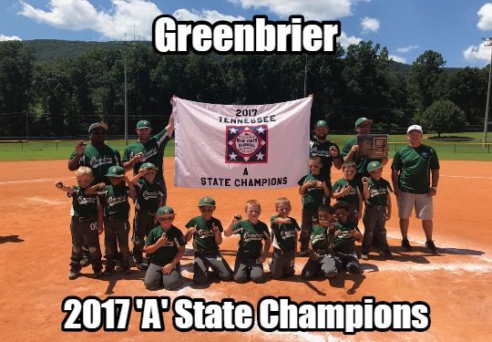 2017 TN DYB State Tournament 6U-A Champion