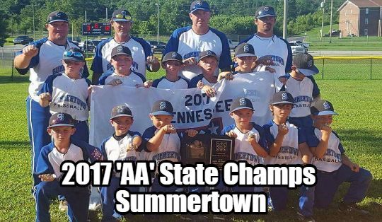2017 TN DYB State Tournament 8U-AA Champion