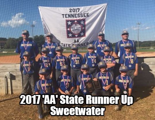 2017 TN DYB State Tournament 8U-AA Runner-up