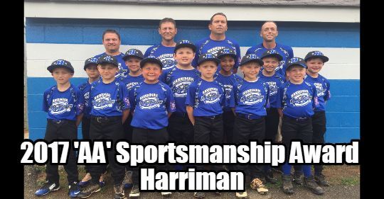 2017 TN DYB State Tournament 8U-AA Sportsmanship